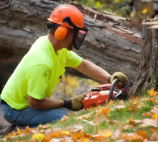 tree services Niagara Falls